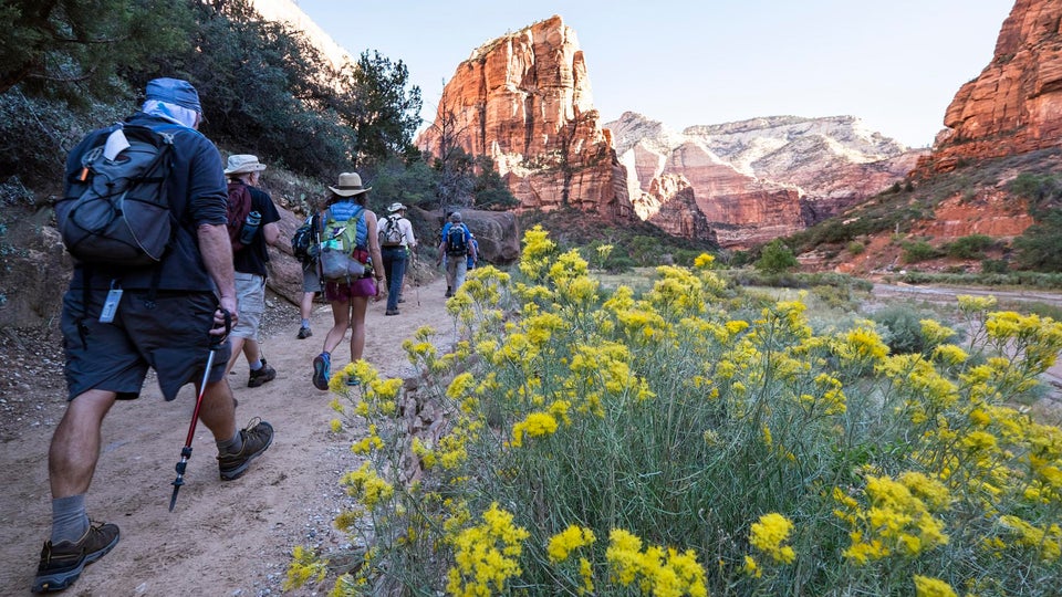 The Best Places to Eat at Your Favorite National Parks Biology Diagrams