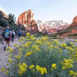 Finding great food on your national park excursions can be a challenge. It helps if you know where to look.
