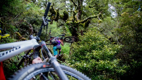 Casey Brown and Chidly carry their bikes on the Te Iringa trail. We didn’t expect so many fallen trees and ravines, but it sure made us appreciate the downhill.
