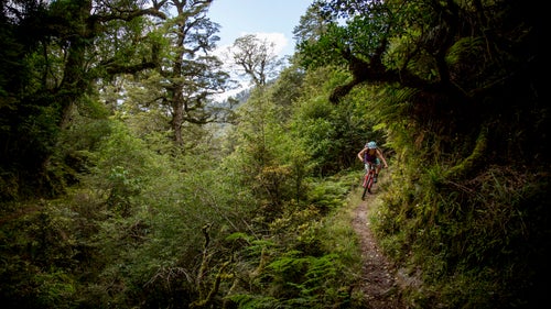 Brown enjoys some tasty downhill. These singletrack moments made jungle-clad mountain passes, slippery rivers, and rickety swing bridges well worth it.