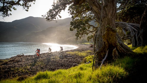 Part of Stony Bay’s glory lies in the freedom from tourist crowds. We set off at first light to ride part of the Coromandel Walkway, a stunning single-track ride, and didn’t see anyone else.