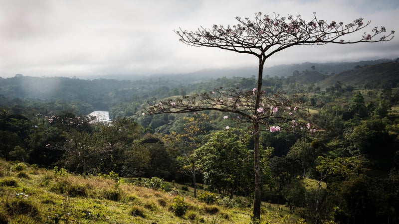 A river valley near Santo Tomás.