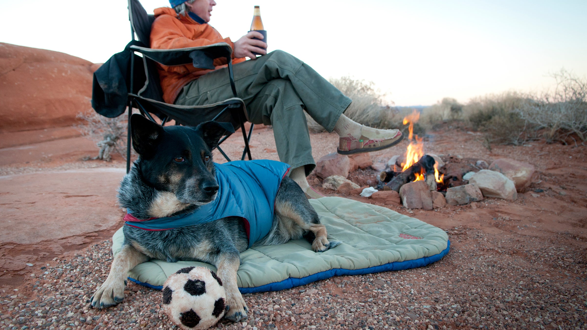 Fido may not be a natural-born navigator or photographer, but that's what gear is for.