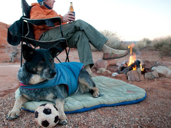 Fido may not be a natural-born navigator or photographer, but that's what gear is for.