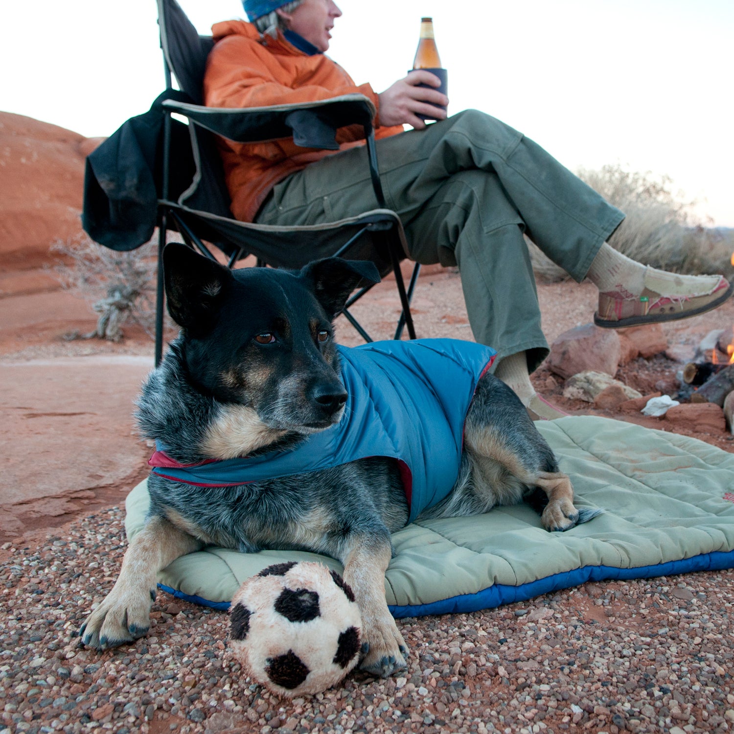 Fido may not be a natural-born navigator or photographer, but that's what gear is for.