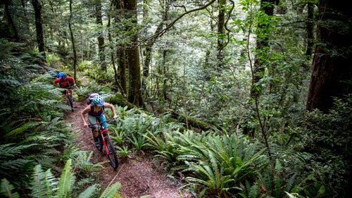 A two-day bike ride through some of New Zealand’s most ancient bush had us working extremely hard for our supper. The Te Iringa trail, located near Lake Taupo in the central part of the North island, is not for the faint of heart.