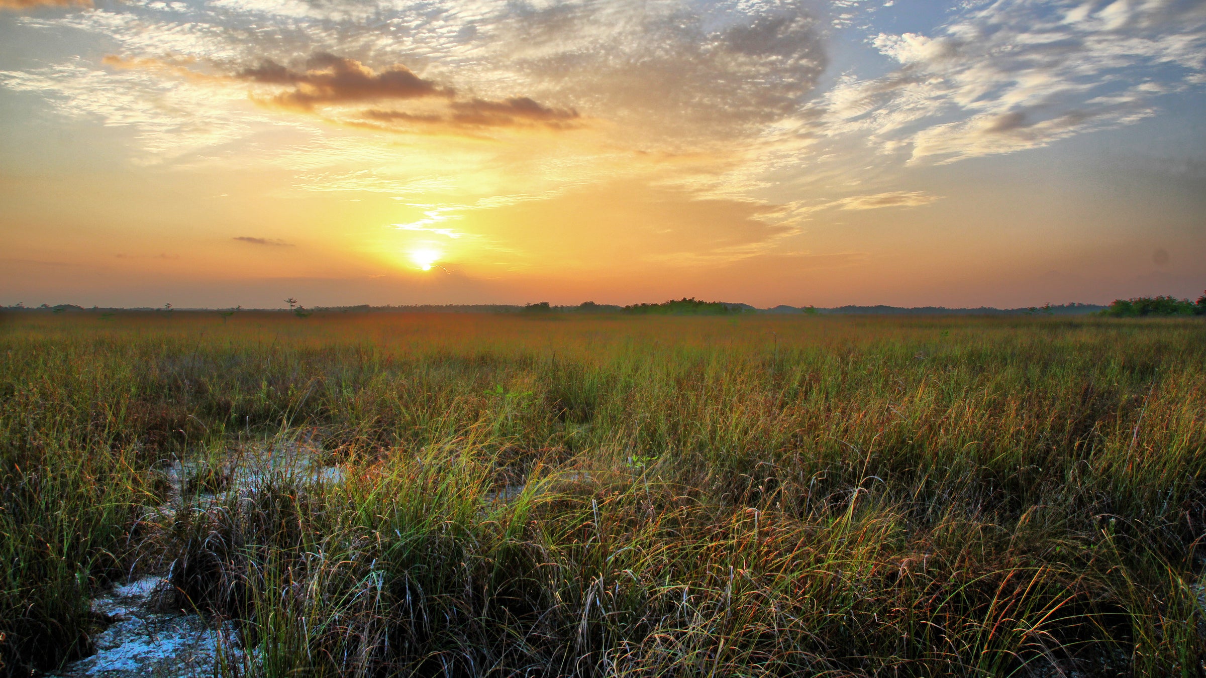 The Everglades are considered at high risk of exposure to sea-level rise. 