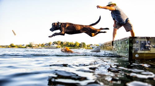 Nine canine essentials to make hikes (and the cool down) more comfortable and enjoyable for your pup.