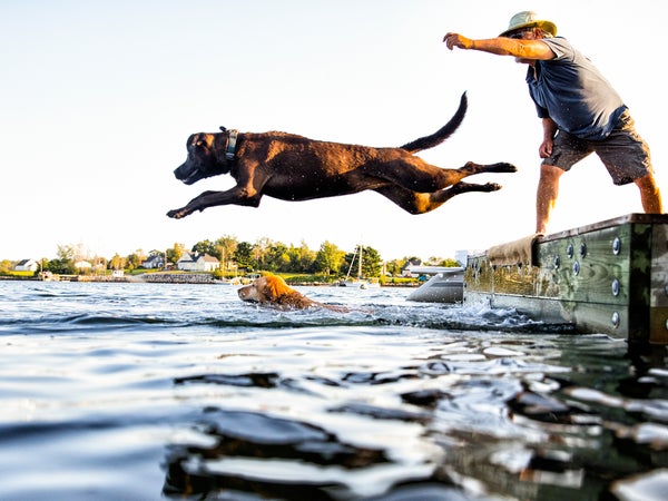 Nine canine essentials to make hikes (and the cool down) more comfortable and enjoyable for your pup.