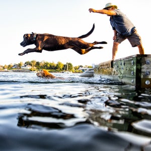 Nine canine essentials to make hikes (and the cool down) more comfortable and enjoyable for your pup.