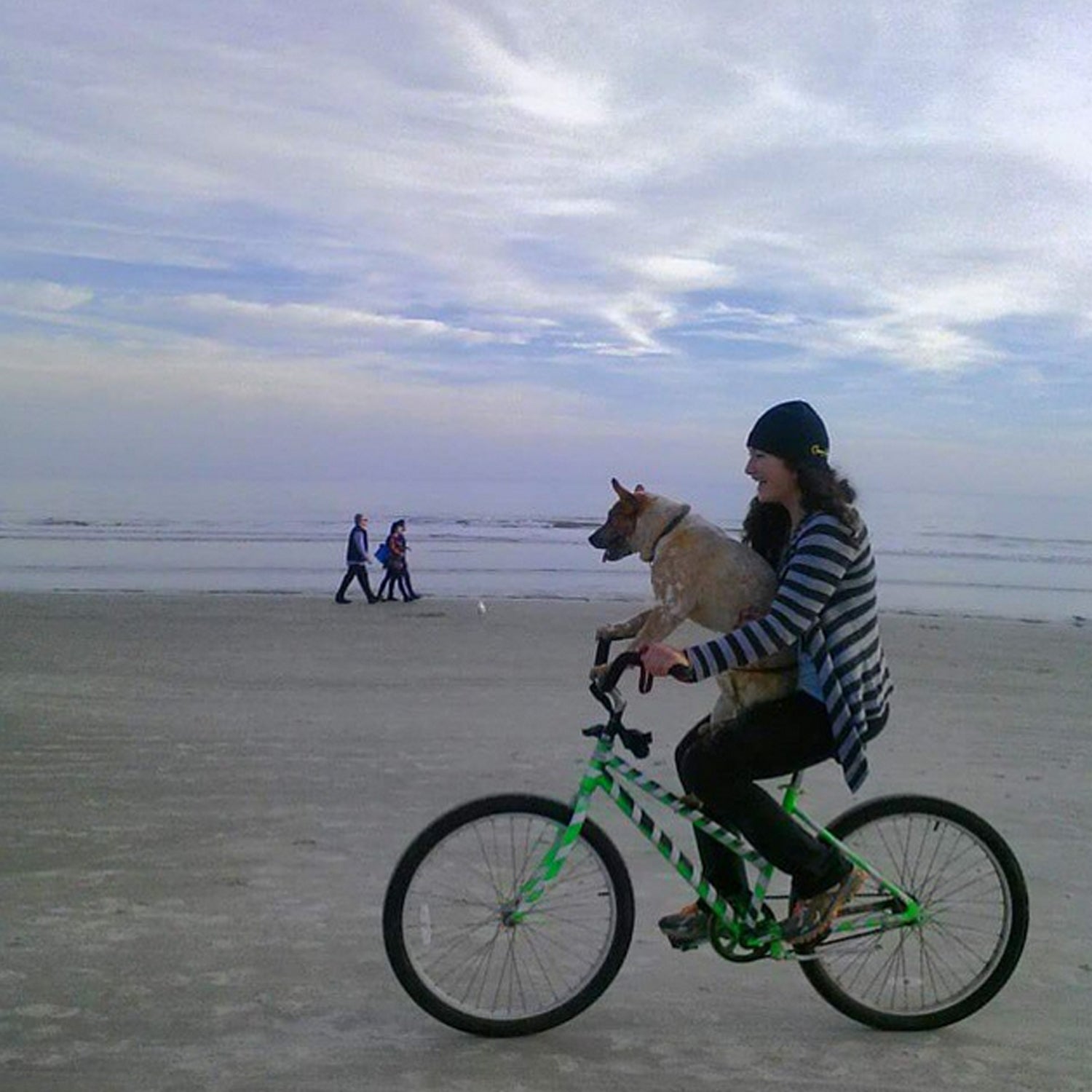 South Forest Beach, where dogs ride bikes too!! #BestTowns2015 #hiltonheadsc #redheeler #carolinaacdrescueandrebound