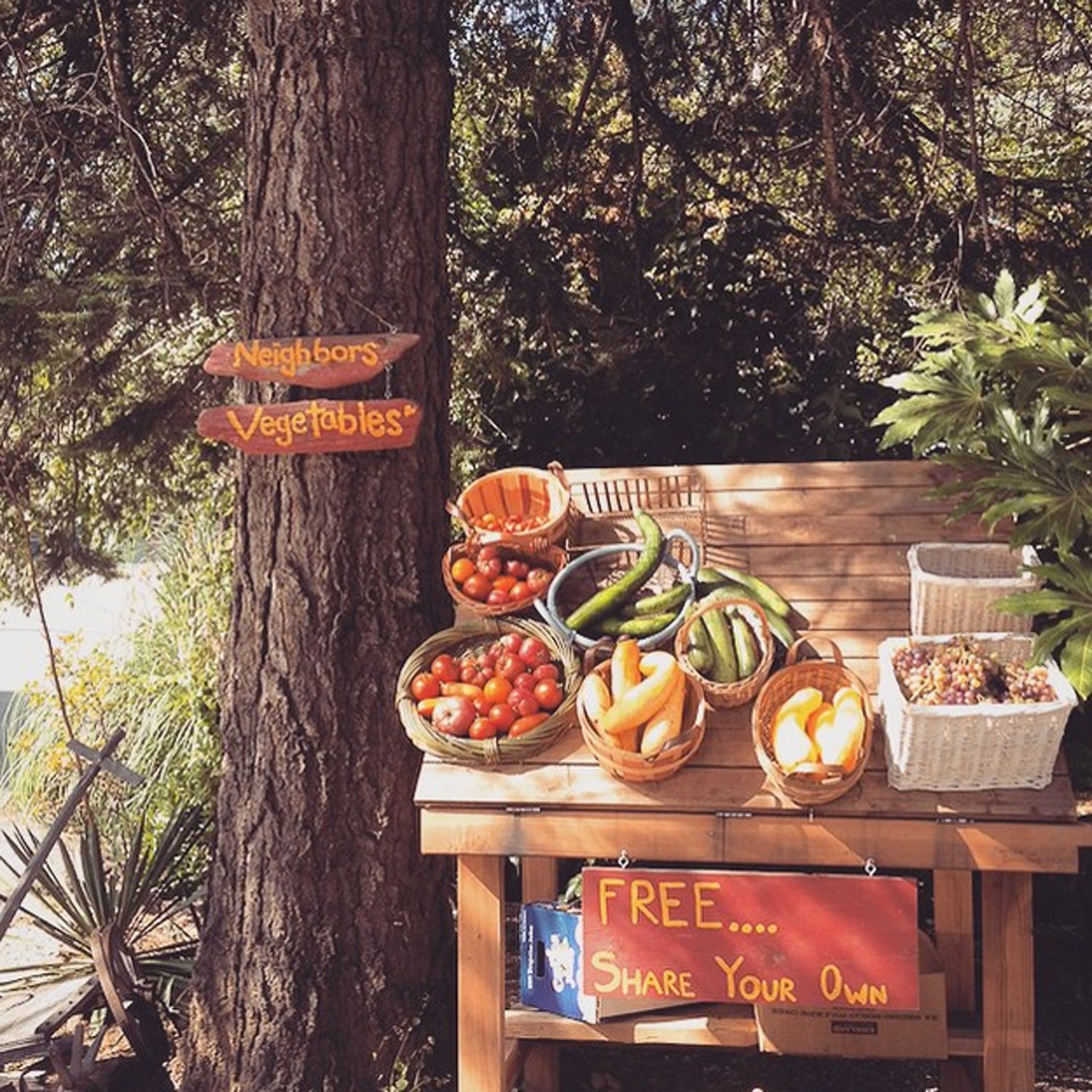 Why do I love Nevada City? Well there are countless reasons (see the blog for just a few of them), but since @outsidemagazine is asking for suggestions on the #besttowns2015 here is an opportunity to share reason #859274, the ϳԹ Inn's free veggie cart. I mean who doesn't love a small town that shares extra fruits and veggies with their neighbors for free? Looking forward to another summer of watching people smile as they give and receive.