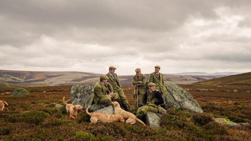 In the field, the dogs either stay at heel or quarter the field close to their handlers and respond to voice commands, even in the face of pheasants launching into the air and shot attempts. When a bird goes down, only one dog gets sent to make the retrieve. The others wait.