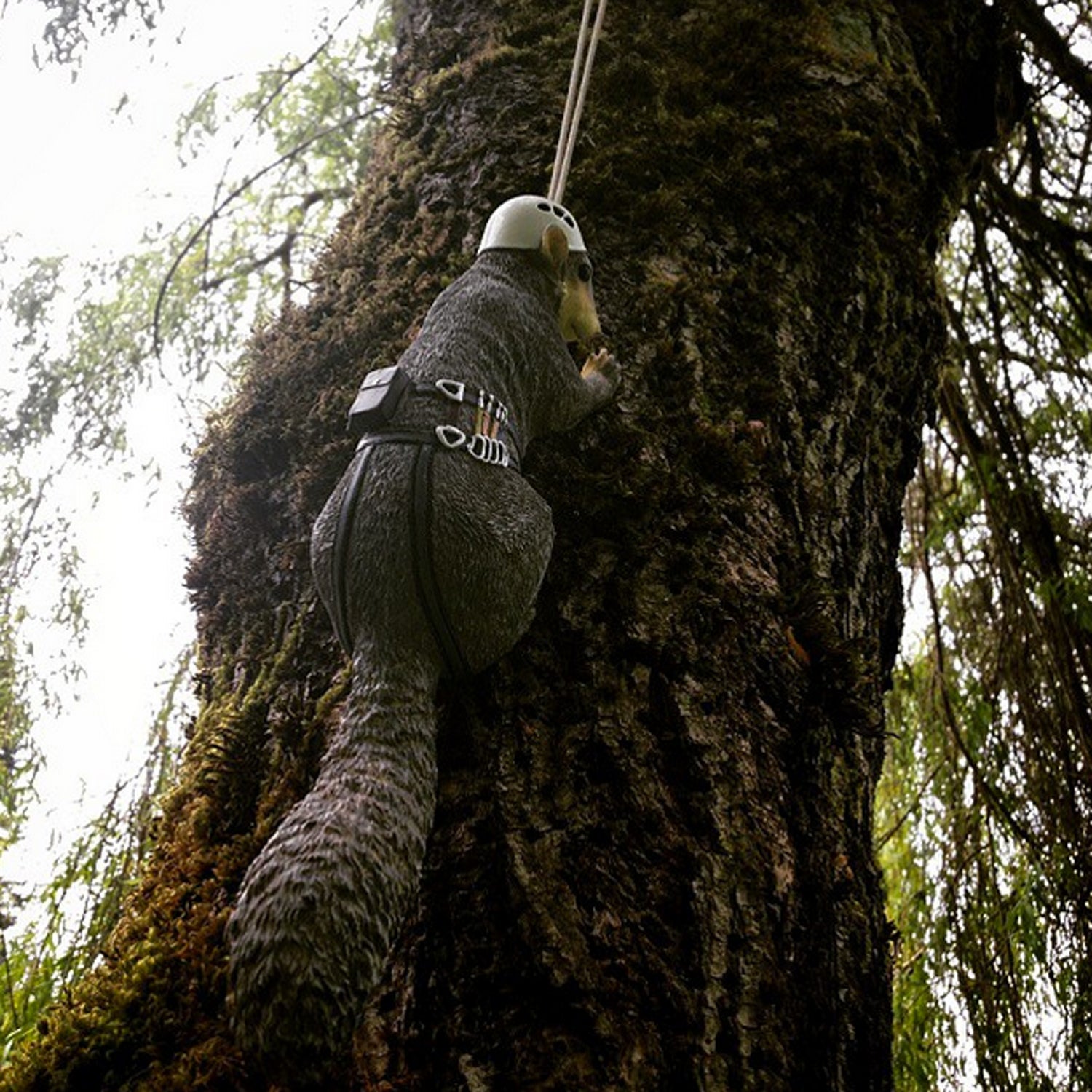 Because squirrels need climbing gear.....