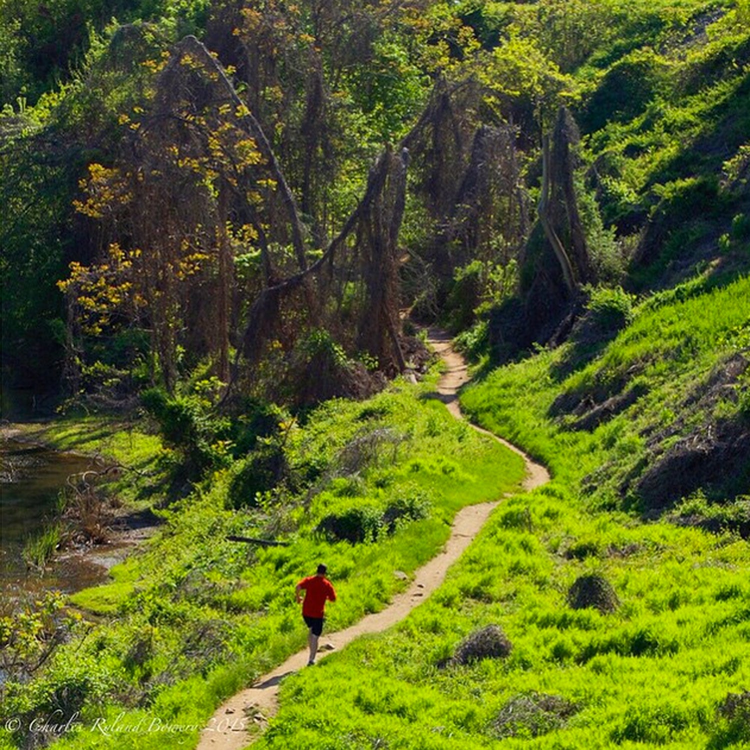 What makes Richmond, Virginia the Best Town is the James River Park System. Within the heart of the city, are miles of trails to bike, hike, or walk. These trails traverse a dense wilderness environment, all within a few blocks of office towers and vibrant neighborhoods.