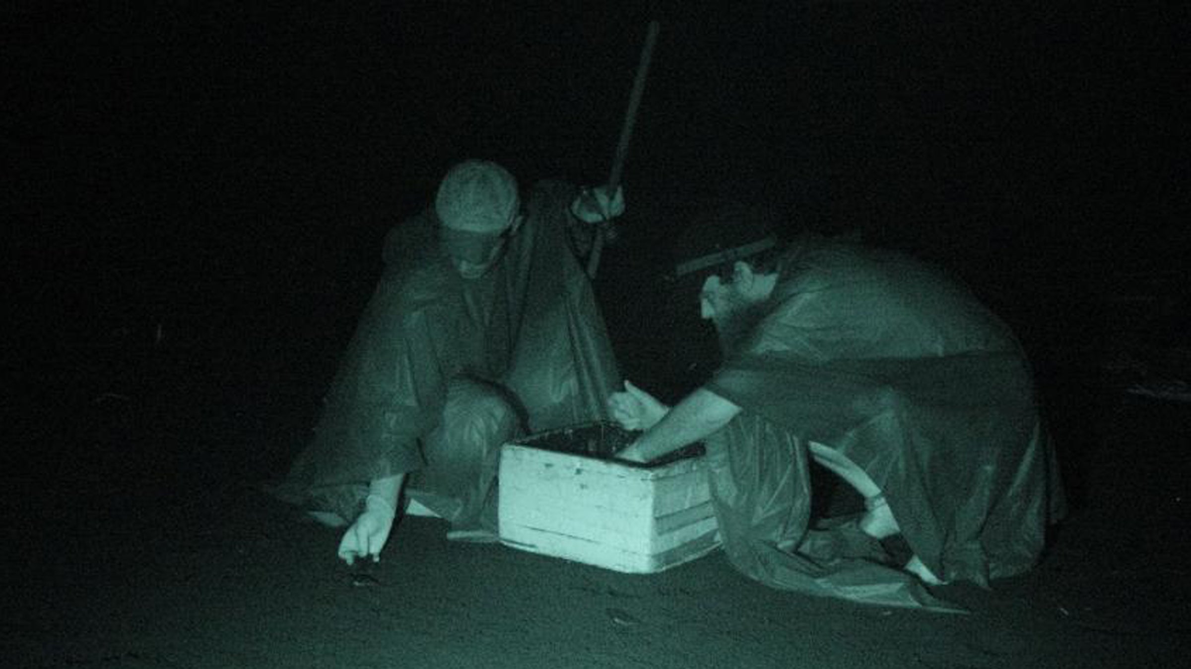 Project Jairo volunteers release sea turtle hatchlings into the ocean during the night. Two were injured during a routine nighttime patrol on Pacuare Beach.