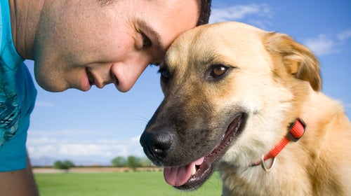 Target (see In the Line of Fire) saved dozens of soldiers by alerting troops at a military base in Afghanistan of a suicide bomber.