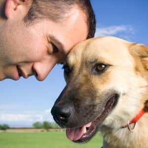 Target (see In the Line of Fire) saved dozens of soldiers by alerting troops at a military base in Afghanistan of a suicide bomber.