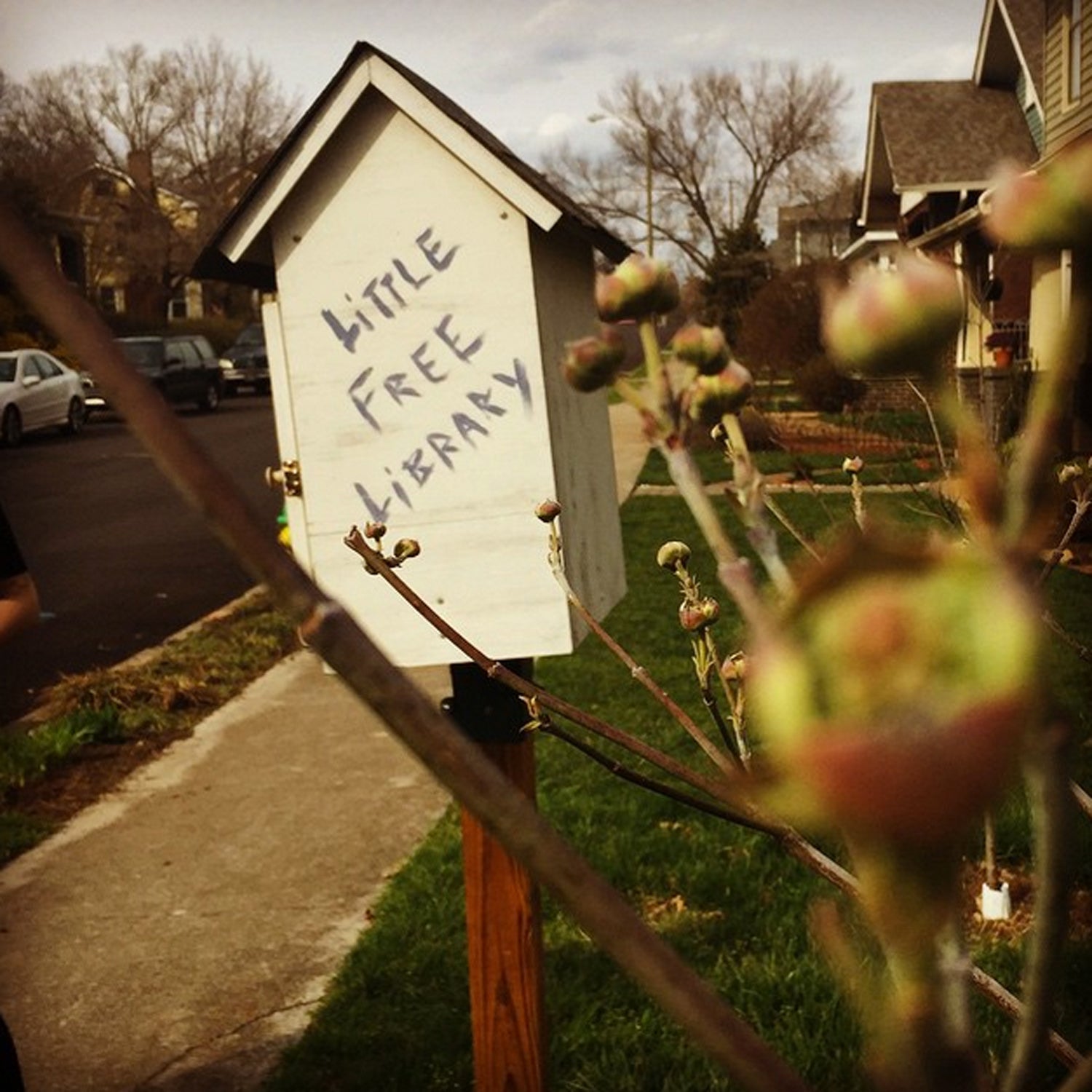 A wonderful surprise awaits you in some Knoxville neighborhoods! The Little Free Library has all sorts of books for you to borrow. This one is in Fourth & Gill. #besttowns2015 #literacy #tiny