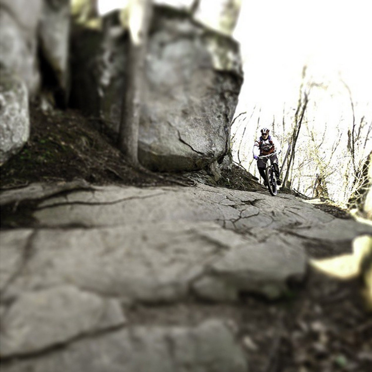 Reposting one of my favorite photos since joining Instagram to get the ball rolling on #Richmond #Virginia being one of @outsidemagazine's #BestTowns2015. Because awesome mountain bike trails along the James River is just one among millions of reasons why we deserve to win this one! Rider: Leonard Straub. #rvabesttown