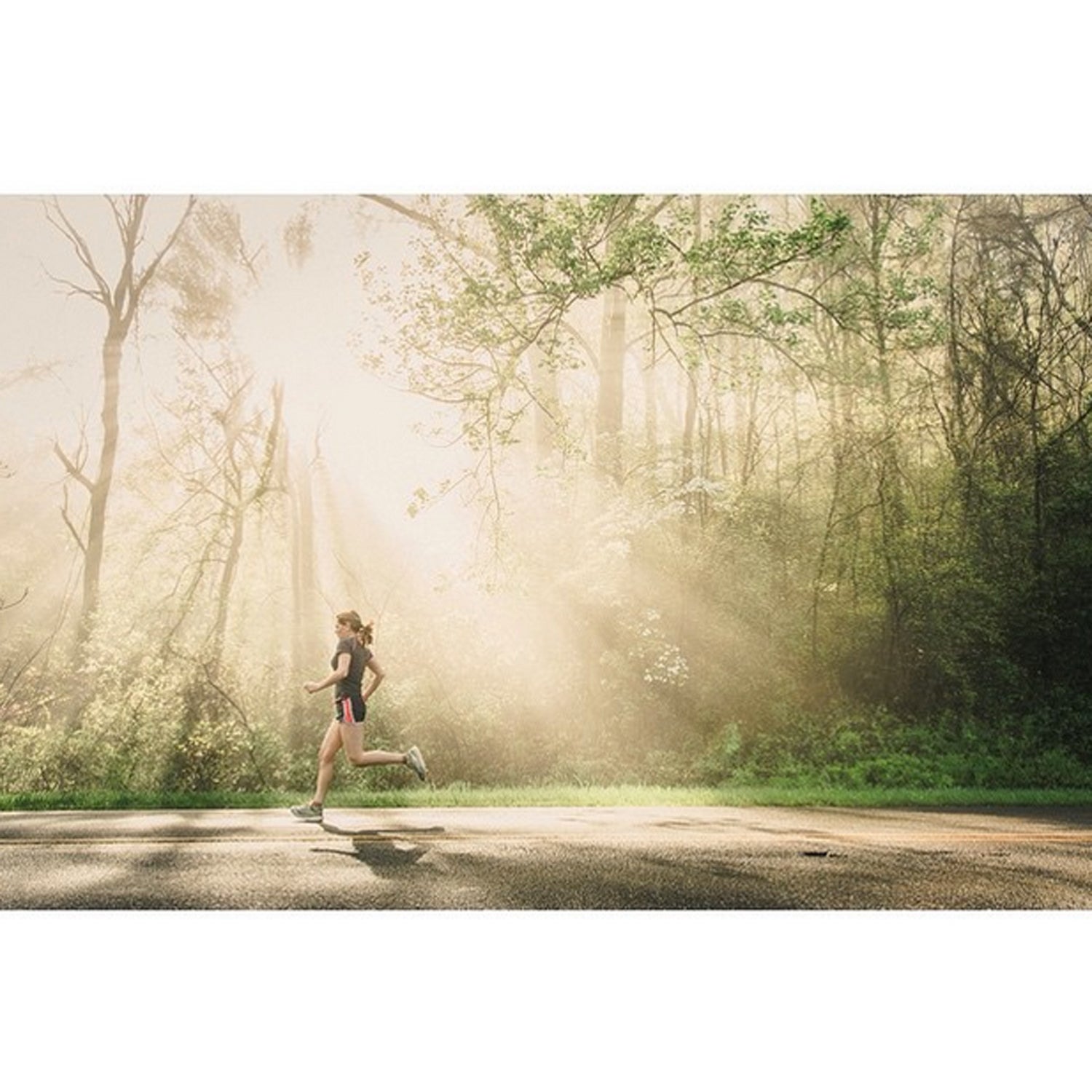 Sometimes spontaneity can trump all of your planning. Luckily my beautiful wife was willing to do some quick running modeling on the #blueridgeparkway this morning just as the sunlight was starting to burn off the morning mist.