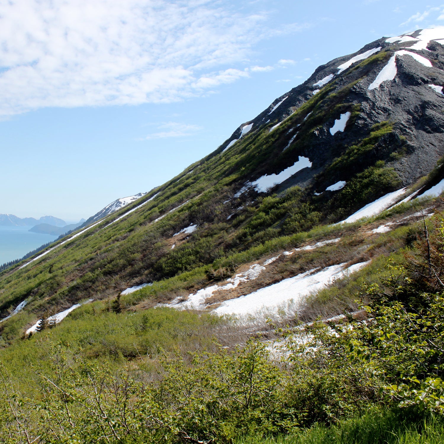 Kilian Jornet beat the previous record on the 3,022-foot Mount Marathon by over a minute.