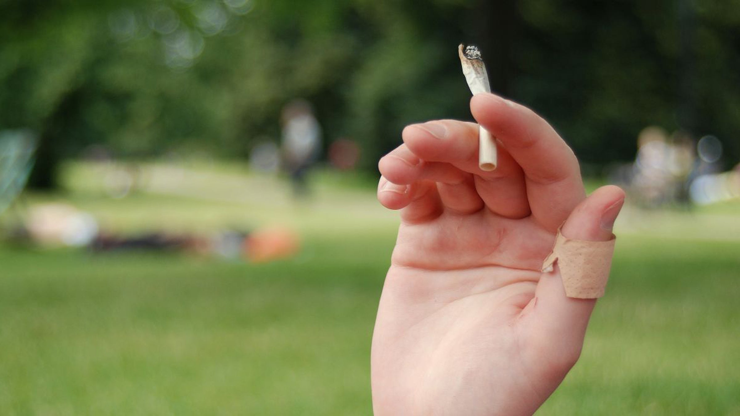 About 1,000 other cities also have smoking bans in public parks.