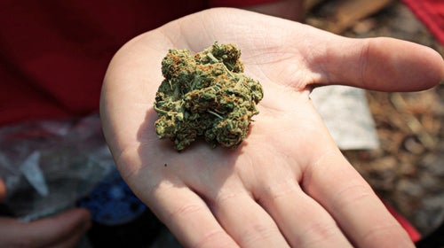 Airport security may dispose of any marijuana in excess of the amount you're allowed to travel with.