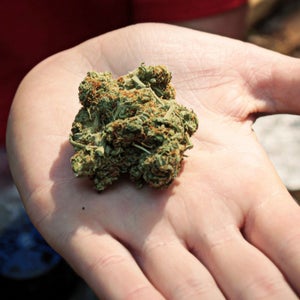 Airport security may dispose of any marijuana in excess of the amount you're allowed to travel with.