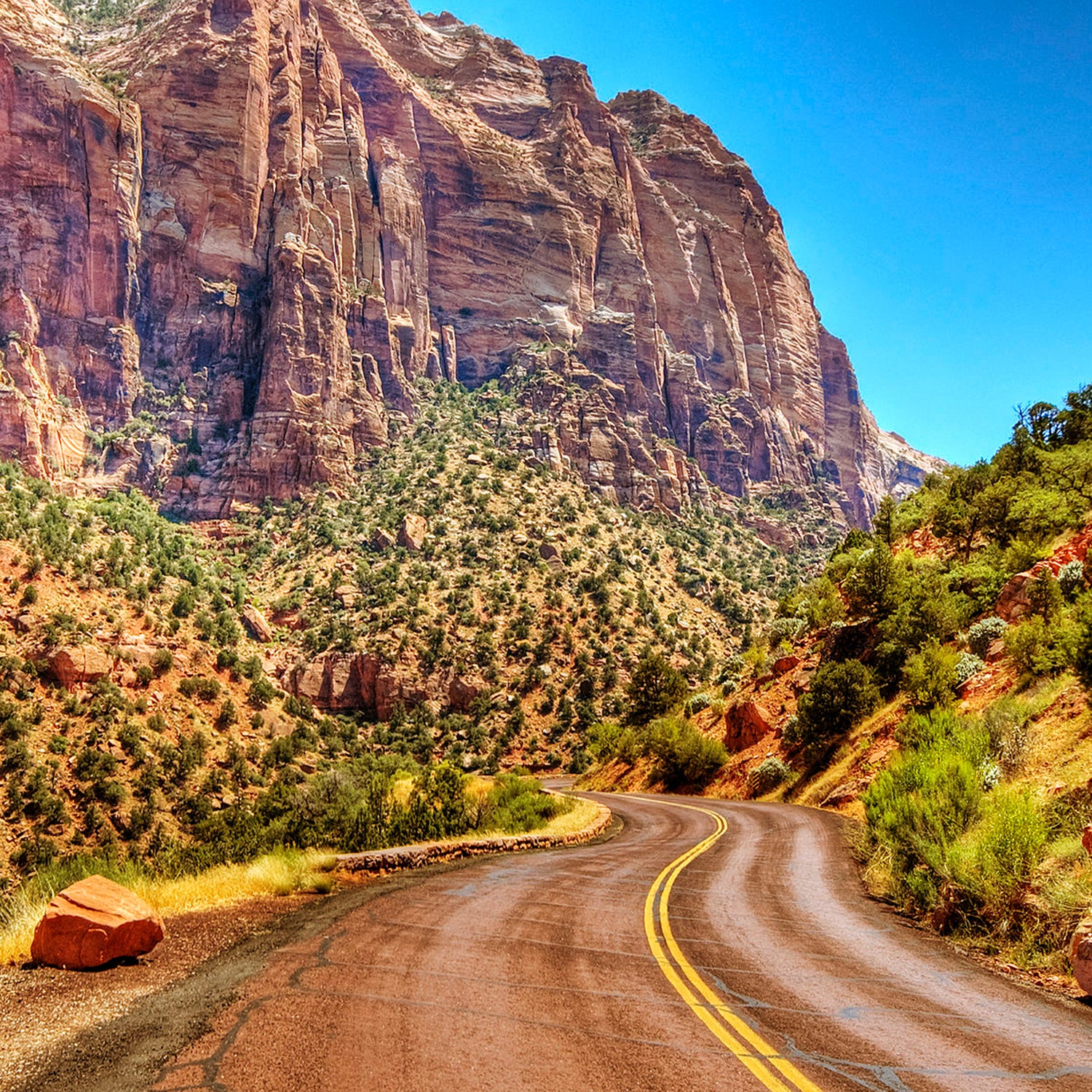 Canyoneer Dies in Zion National Park