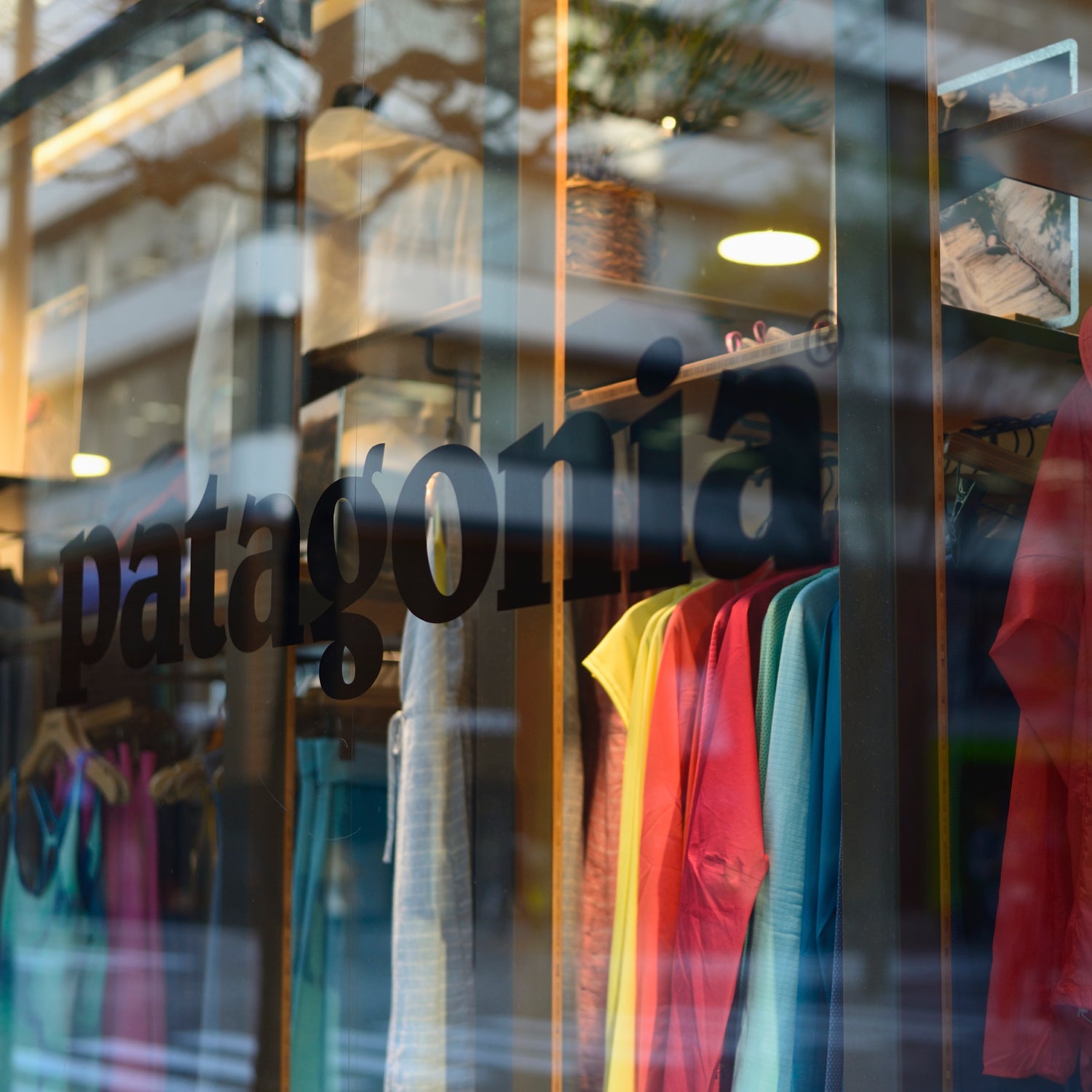 Case Study: Patagonia's Shell, Yeah! Digital Campaign