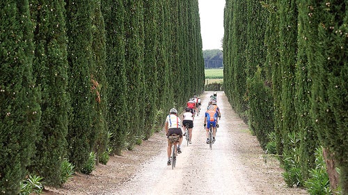 Cinghiale Cycling Tours' trip through Tuscany includes wine tastings and cooking lessons.
