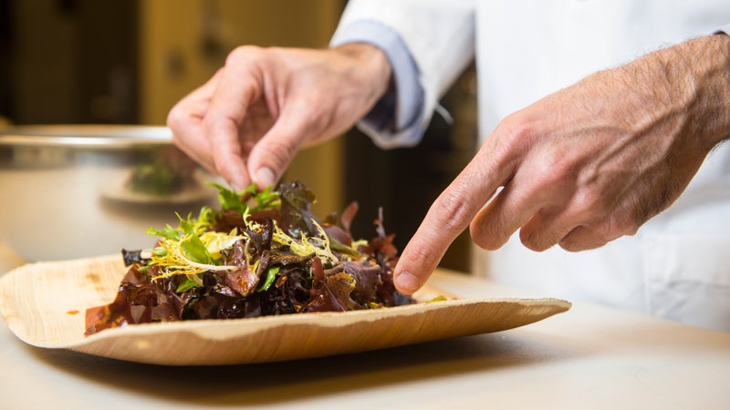 Jason Ball, research chef at the Food Innovation Center, Portland, Oregon prepares dishes made with dulse.