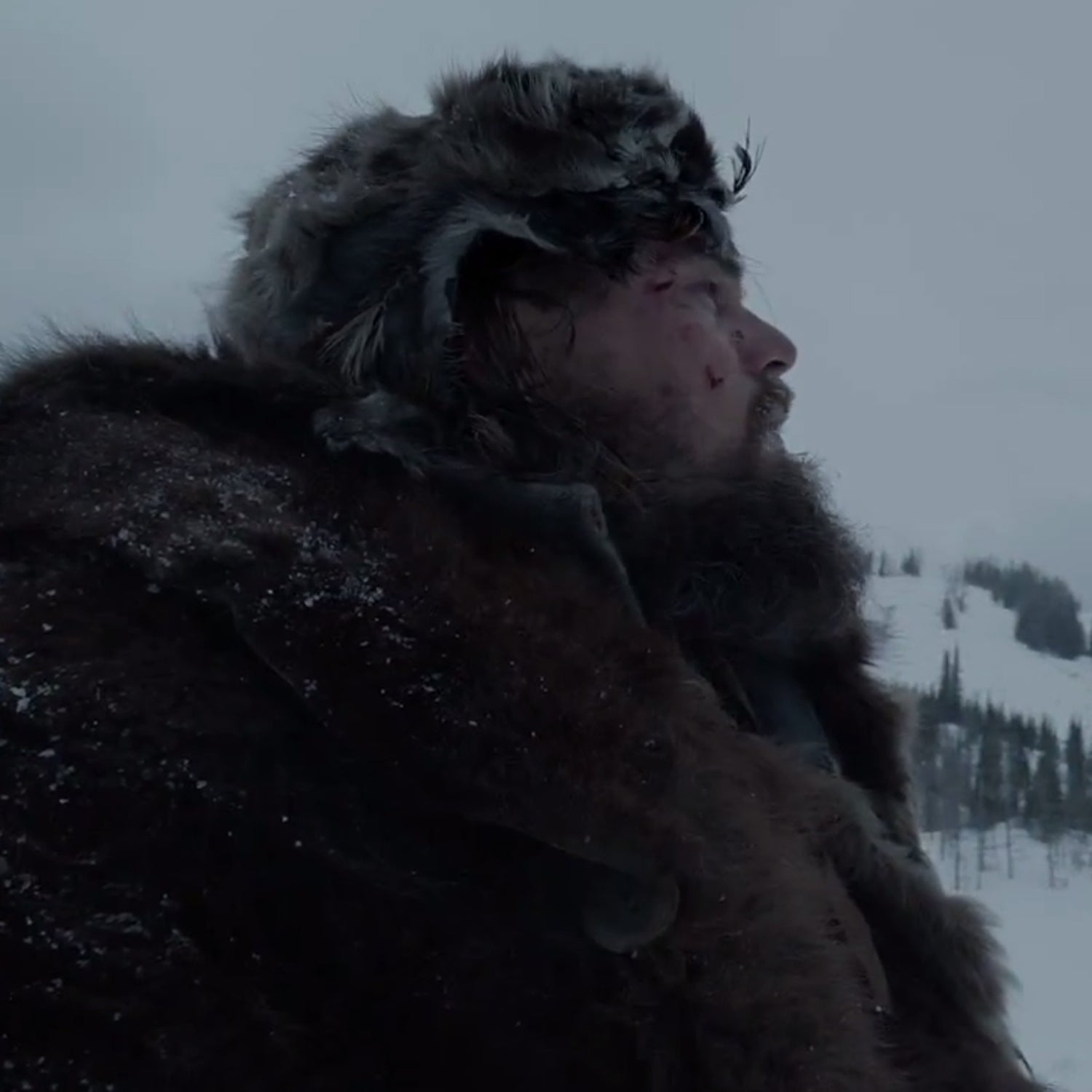 The movie tells the story of a western fur trapper who seeks revenge after being abandoned by his companions following a gruesome grizzly bear attack.