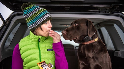 Think about everything you do for fun, then get a dog who can do pretty much everything with you.