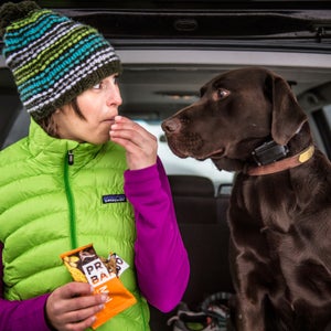 Think about everything you do for fun, then get a dog who can do pretty much everything with you.