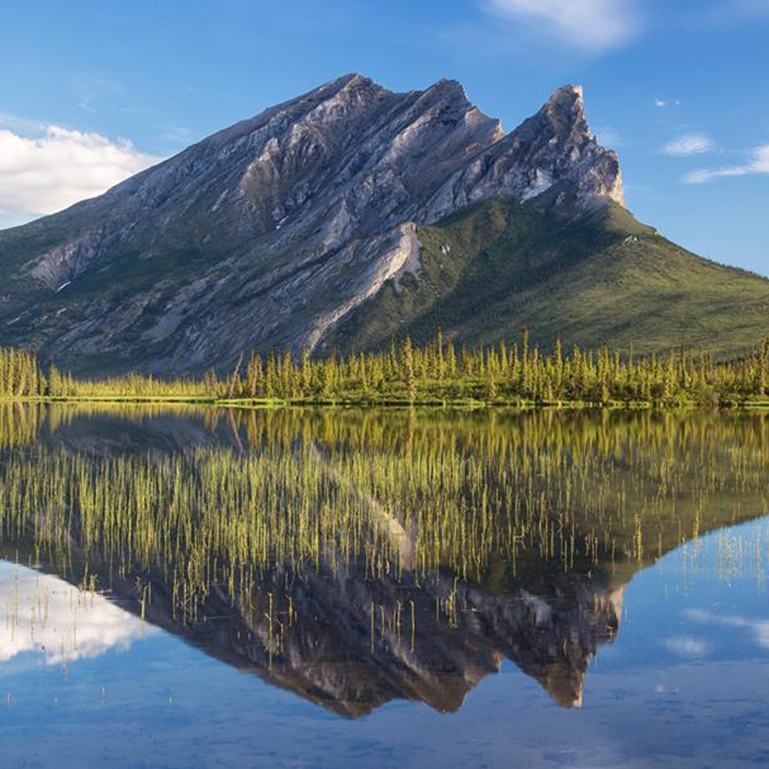 The fund is used to support outdoor recreational activities, outdoor industries on public lands, and state and local conservation efforts.