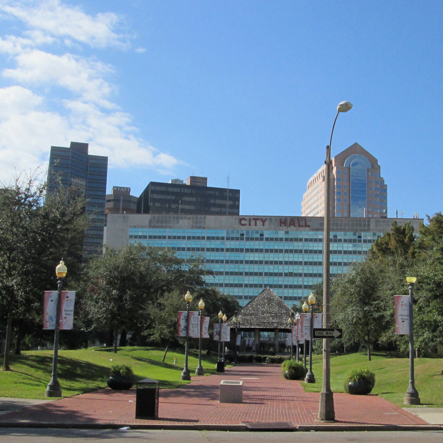 Protesters believe that New Orleans can only become a great cycling town once the city government makes a serious commitment to improving road surfaces and creating dedicated bike lanes.