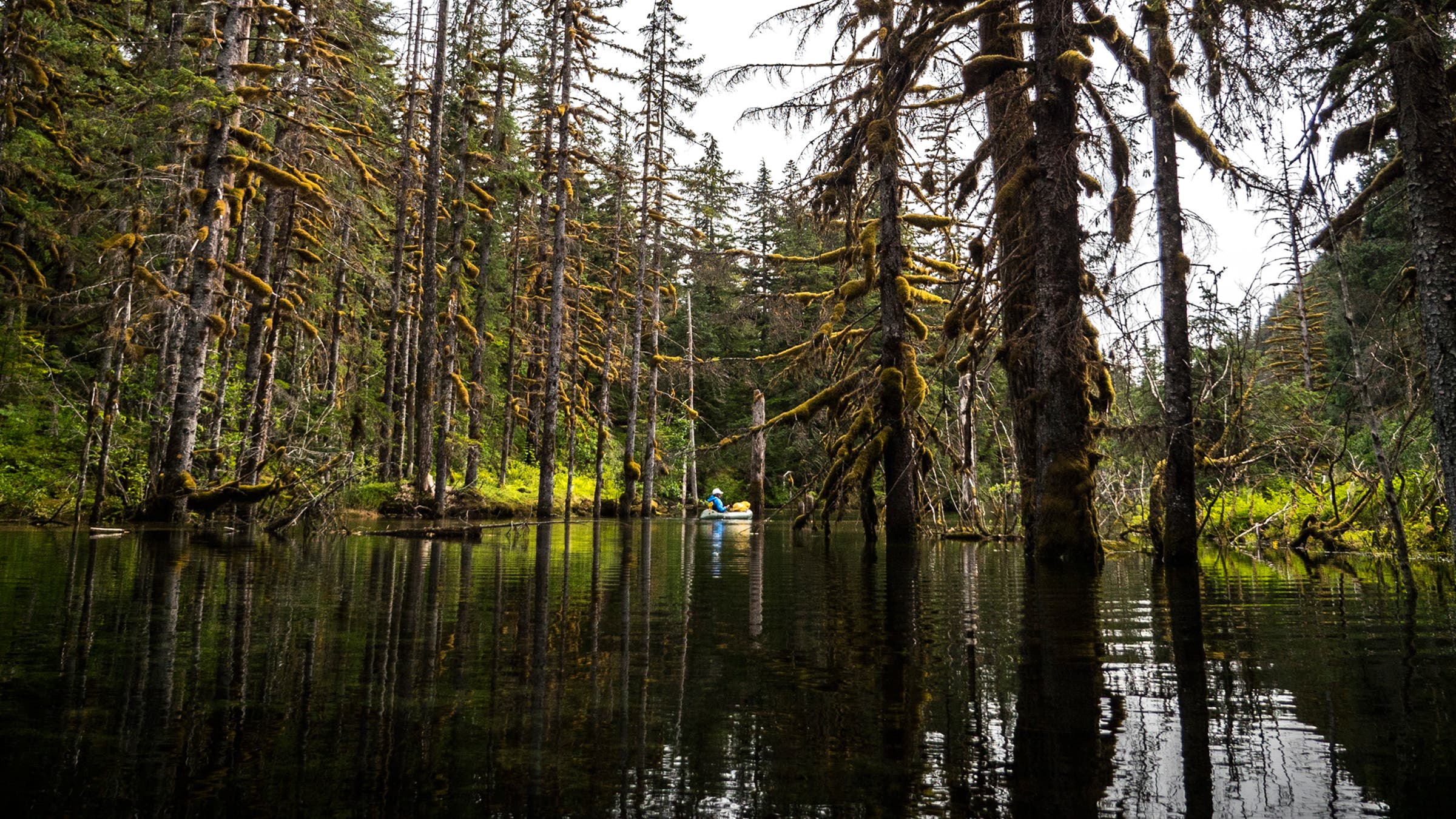 A Mining War May Destroy One of Alaska’s Last Untouched Rivers