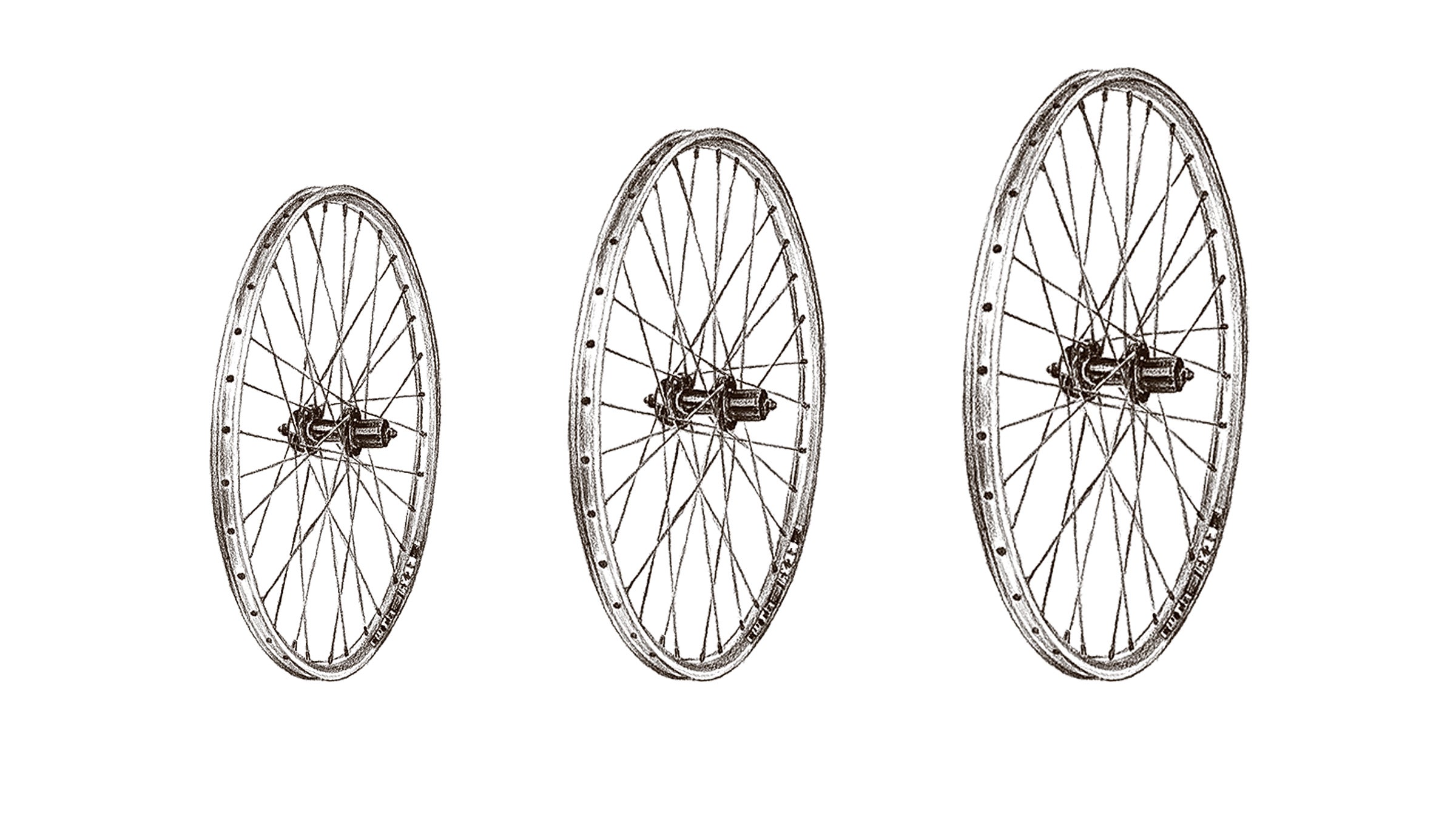 The elusive Goldilocks wheel.