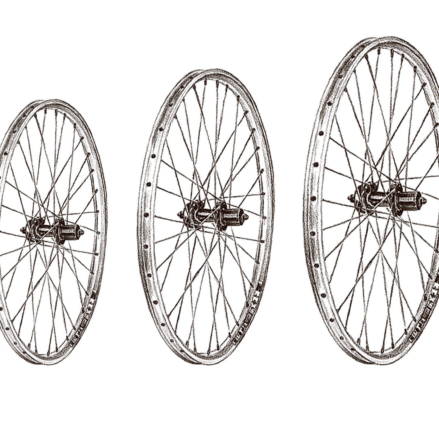 The elusive Goldilocks wheel.
