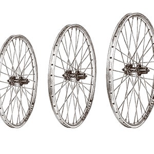 The elusive Goldilocks wheel.