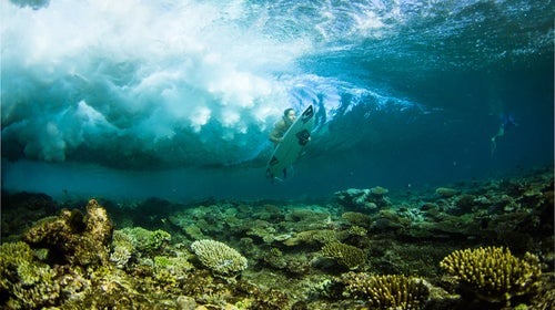 Some attribute the first wetsuit to surfer Jack O'Neill.