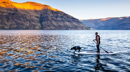 It's only fitting that your best friend joins you for all of your favorite activities.