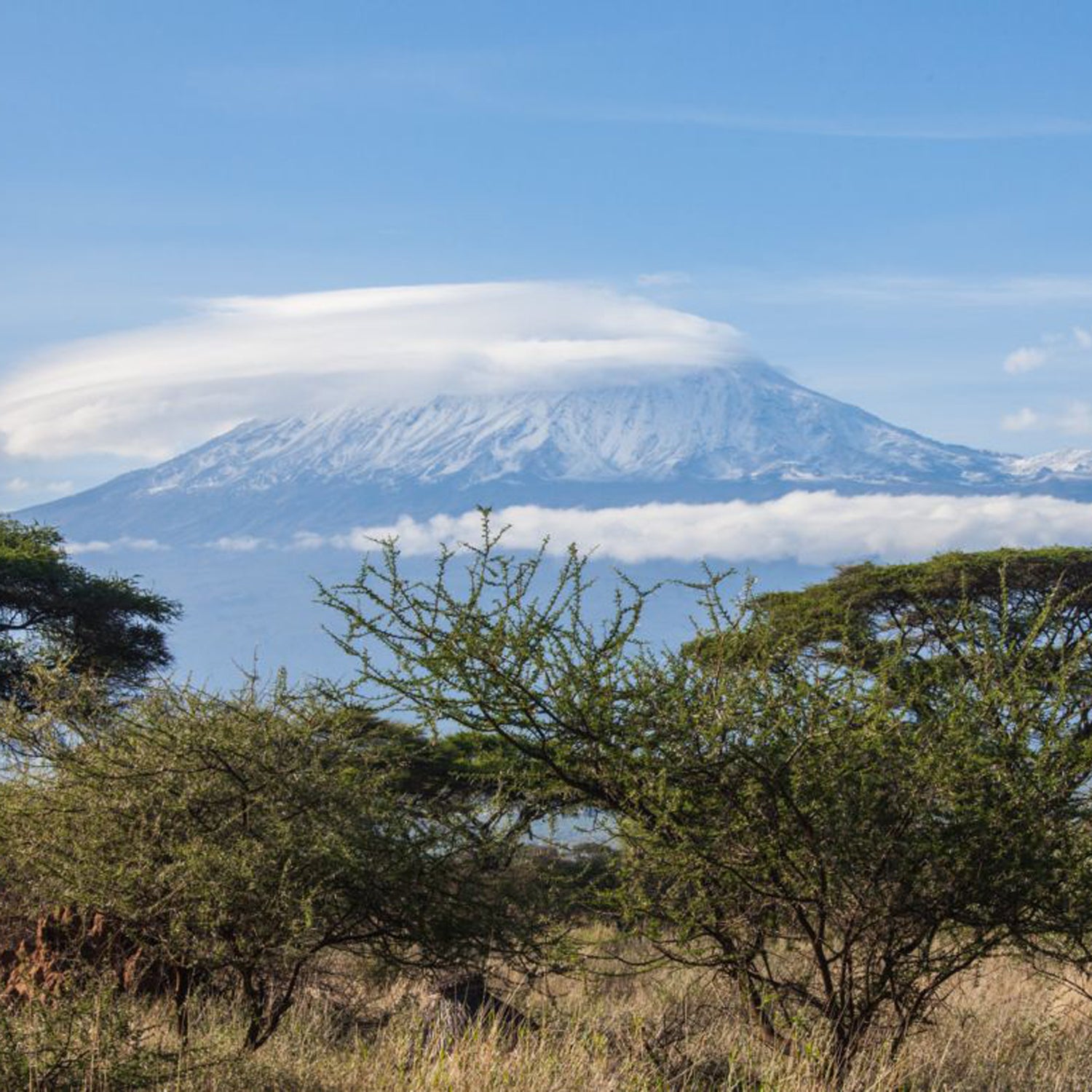 Man Carries Bathtub up Kilimanjaro