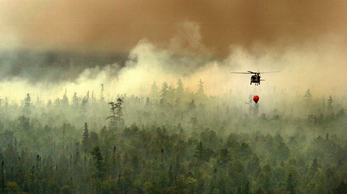 Camera systems are cheaper to install than new fire towers, and they help detect fires earlier.