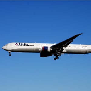 The first to announce the change in policy was Delta Air Lines, which specifically banned lion, elephant, buffalo, leopard, and rhinoceros trophies.