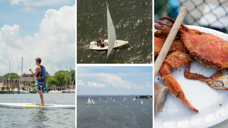Clockwise from left: SUP session; full sail in Annapolis harbor; Maryland blue crab; Chesapeake Bay rush hour.