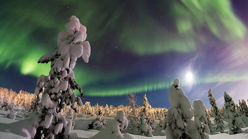 Murmansk, in northwestern Russia, lies on an inlet of the Barents Sea near Norway and Finland. The region’s subarctic climate and long, cold winter allowed photographer Lyubov Trifonova to capture the snow-covered forest as it was lit by the Aurora Borealis in December 2014. The image is the first winner of the Beauty of Night Sky category.