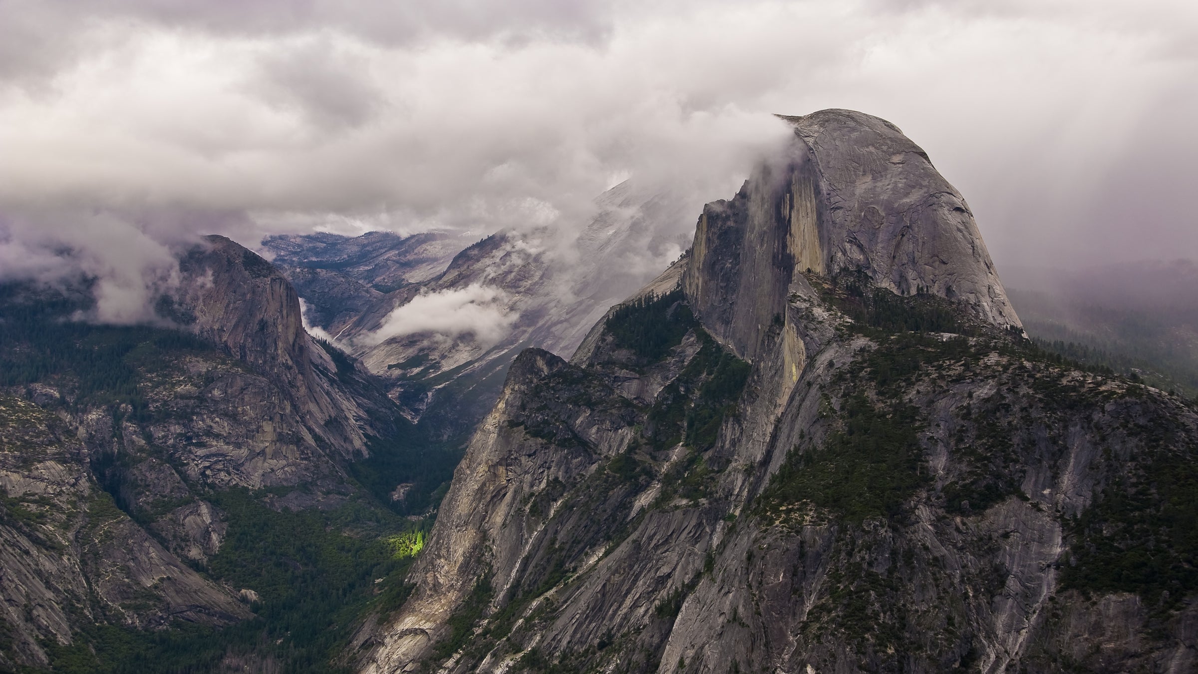 Information about how to prevent contracting the plague will be available at Yosemite National Park.